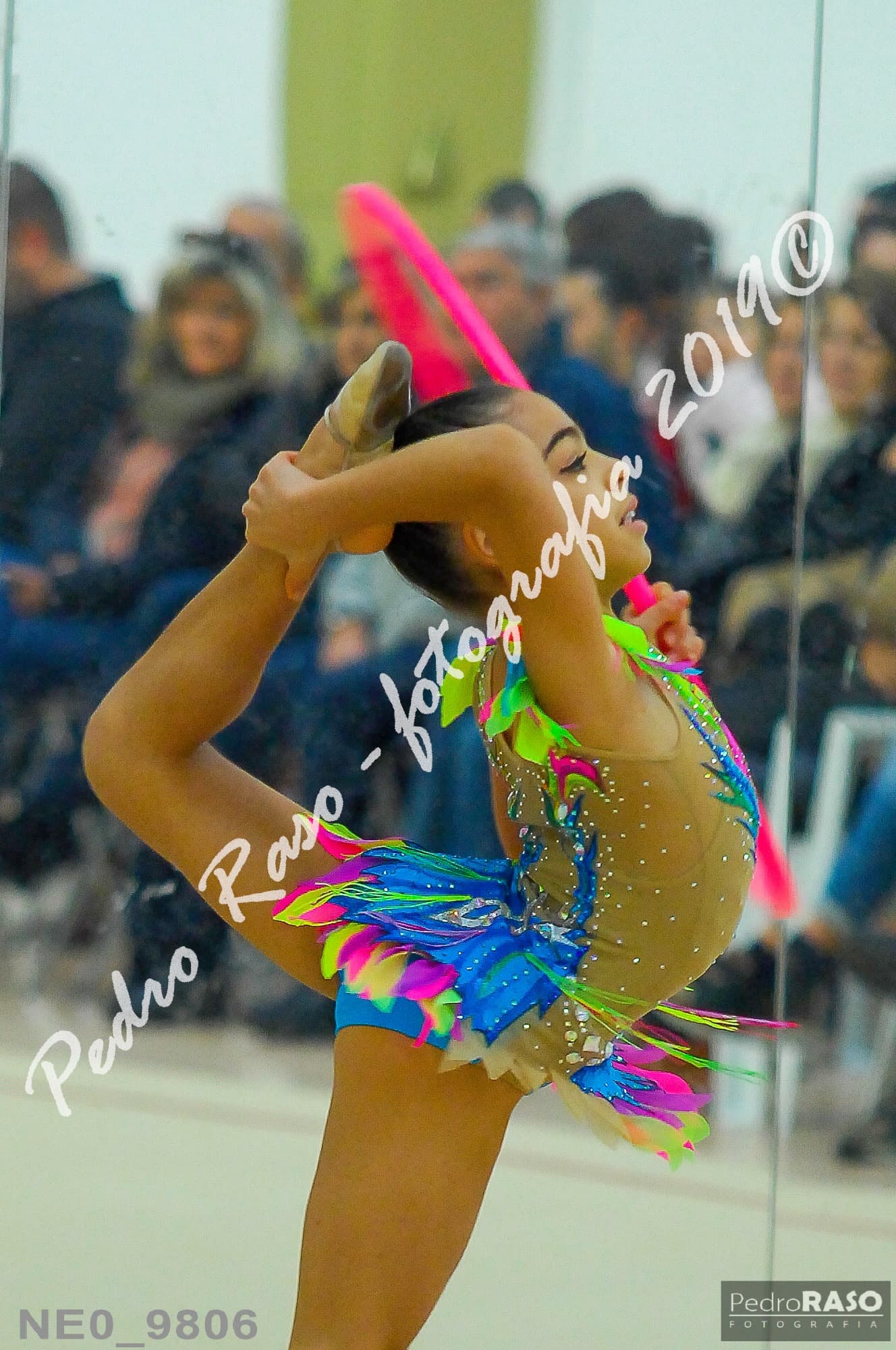 EGA gymnastics photo