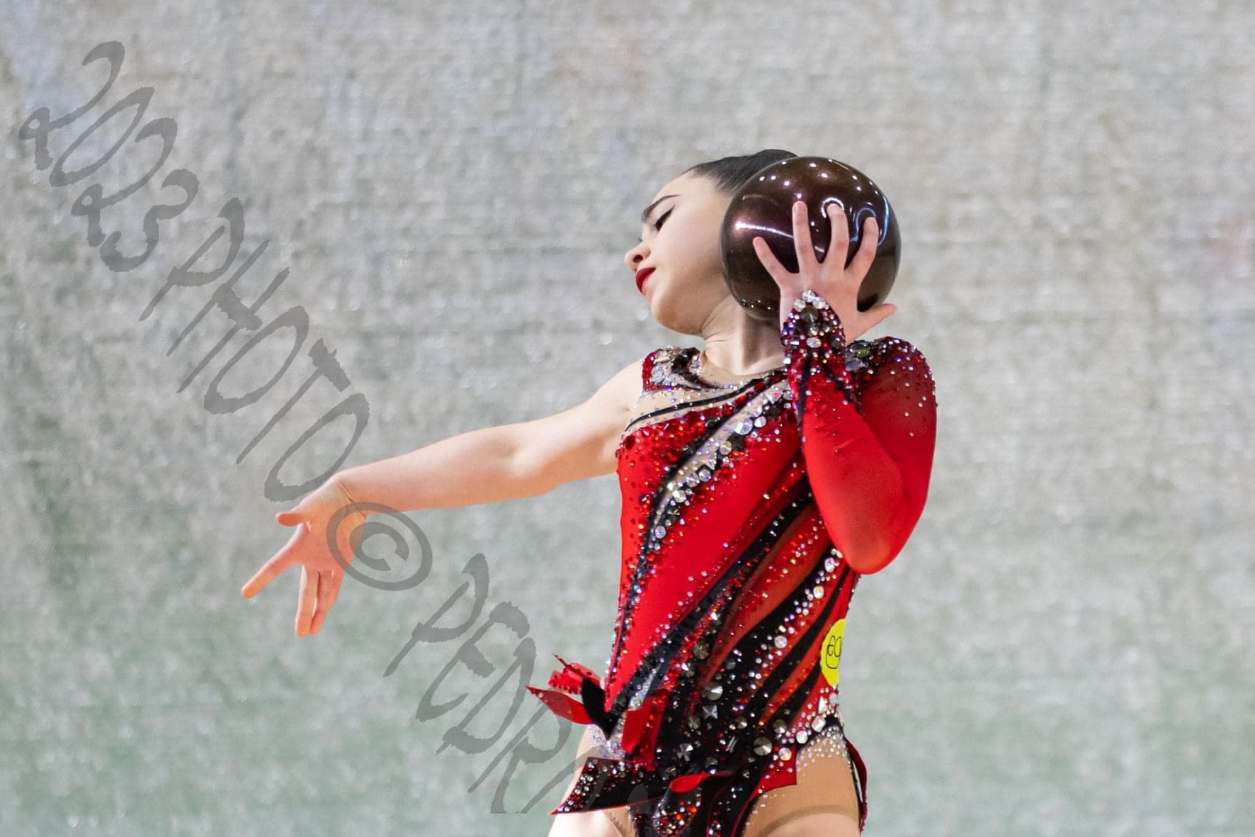 EGA gymnastics photo