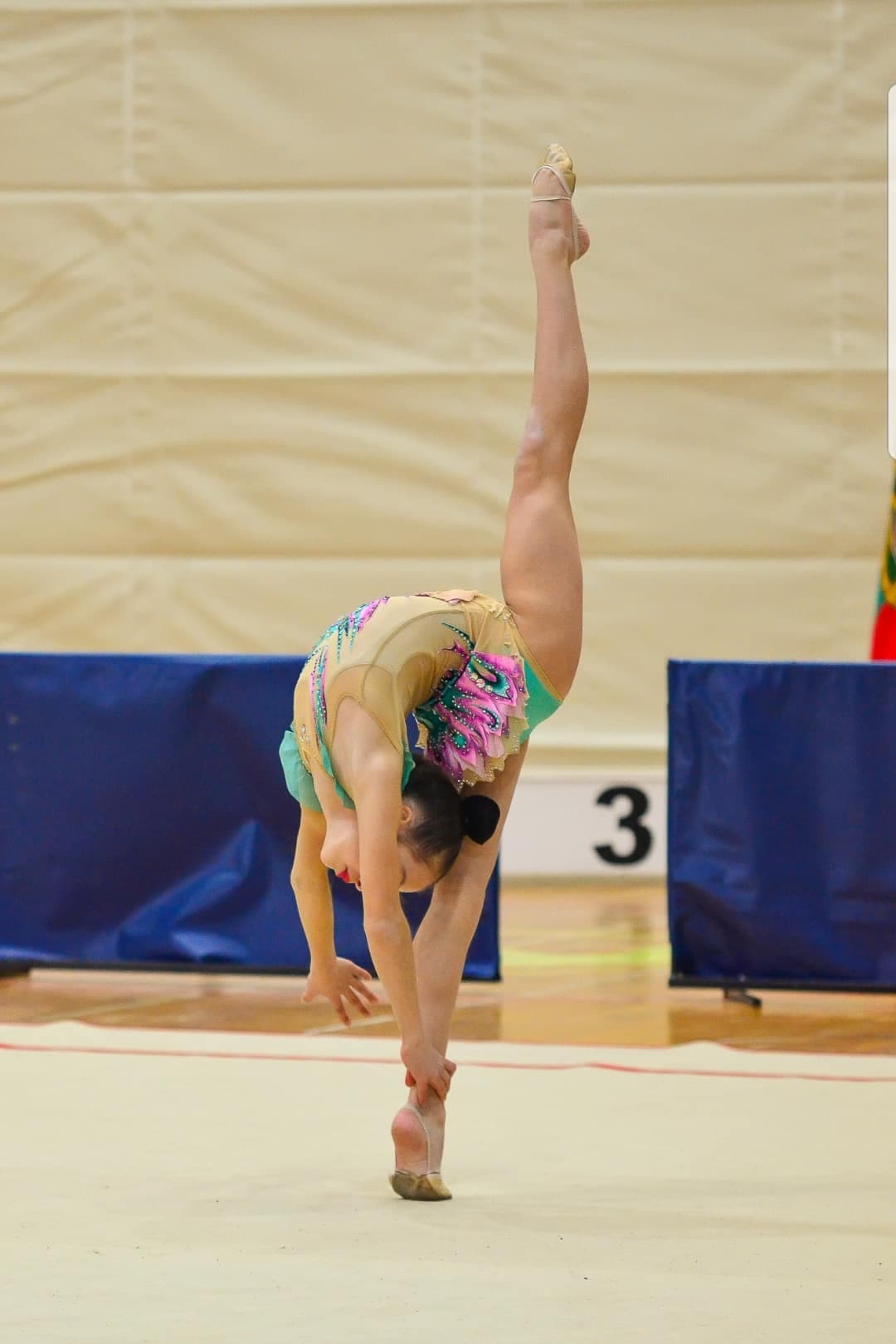 EGA gymnastics photo