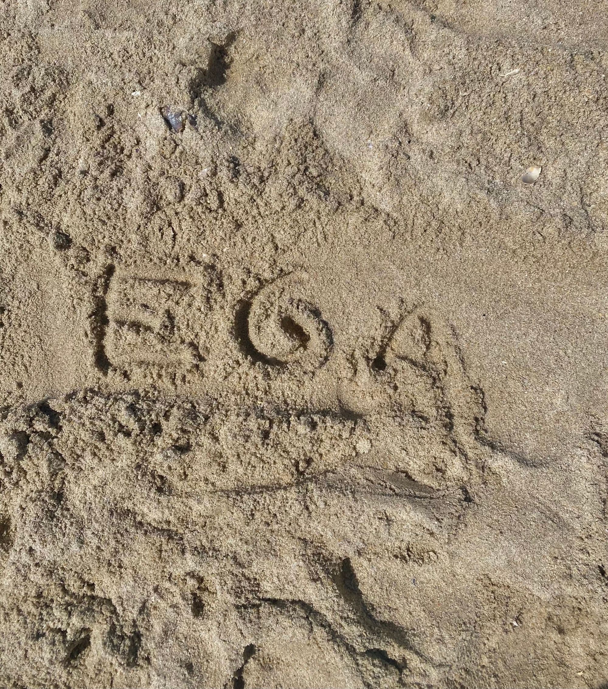 EGA summer camp photo