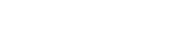 intitutional partner logo