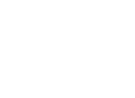 intitutional partner logo